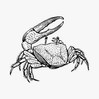 Crab clipart, vintage hand drawn | Free Vector - rawpixel