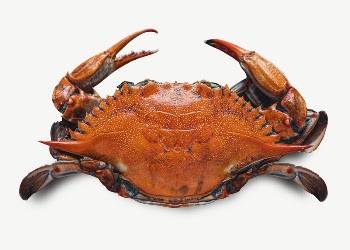 Crab food collage element psd | Free PSD - rawpixel