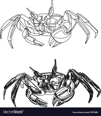 Crab-free vector image
