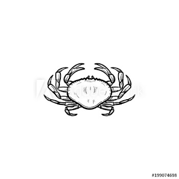 Crab hand drawn outline doodle icon