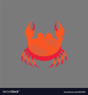 Crab in cartoon style seafood product design in vector image