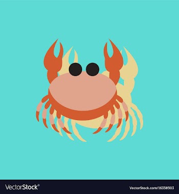 Crab in cartoon style seafood product design in vector image