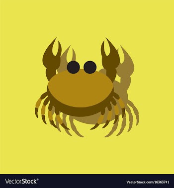 Crab in cartoon style seafood product design in vector image