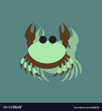 Crab in cartoon style seafood product design in vector image