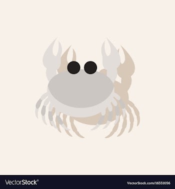 Crab in cartoon style seafood product design in vector image