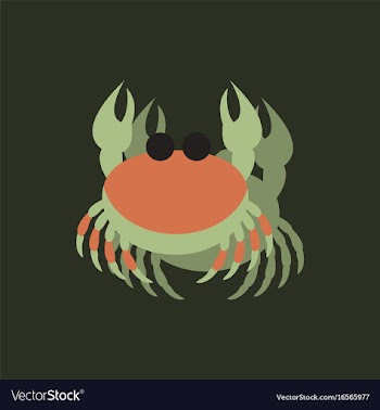 Crab in cartoon style seafood product design in vector image