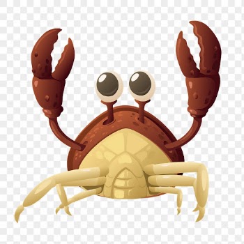 Crab png sticker, animal illustration | Free PNG - rawpixel