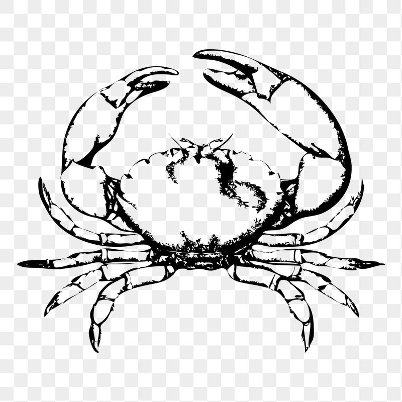 Crab png sticker illustration, transparent | Free PNG - rawpixel