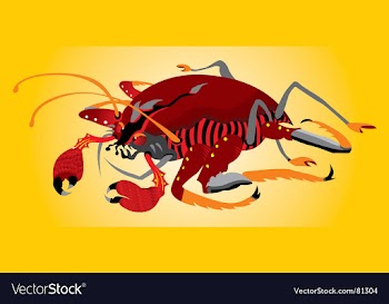 Crab vector image