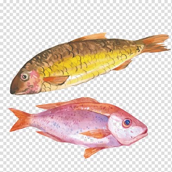 Crab Watercolor painting Seafood Illustration, Painted fish transparent background PNG clipart