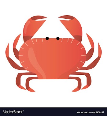 crab with large claws on a white background