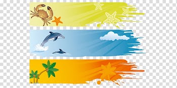 Crabs and dolphin poster, Banner Summer Illustration, Summer beach background elements transparent background PNG clipart