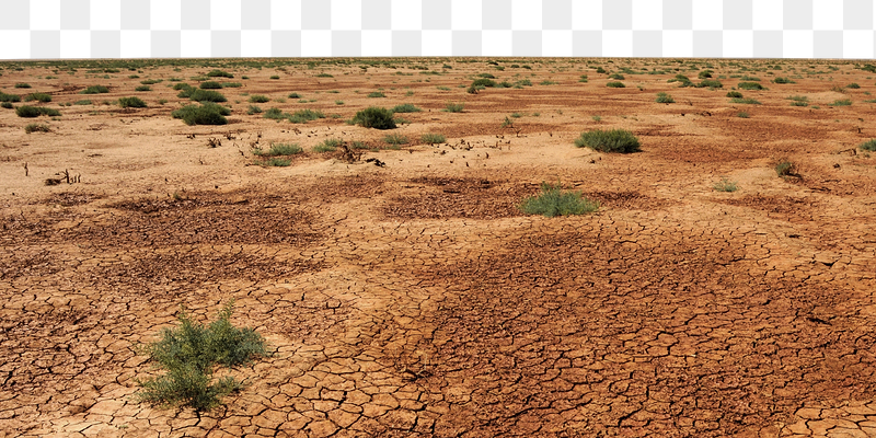 Cracked ground png border, Wild | Free PNG - rawpixel