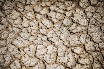Cracked ground texture, nature background | Free Photo - rawpixel
