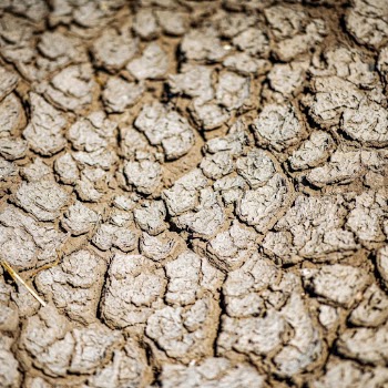 Cracked ground texture, nature background | Free Photo - rawpixel