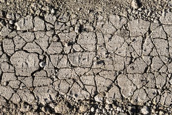 Cracked soil background, free public | Free Photo - rawpixel