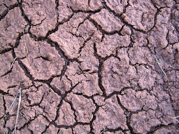 Cracks appear.JPG