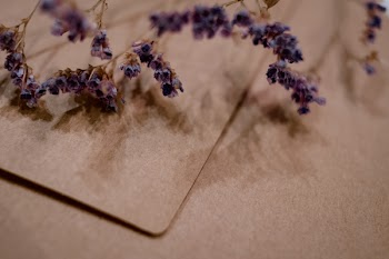 Craft envelope with dried flower
