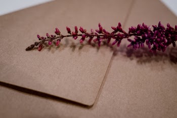 Craft envelope with dried flower closeup 2