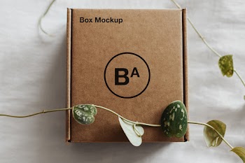 Craft Paper Box Mockup box mockup ba 