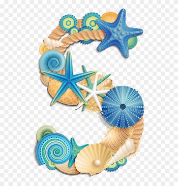 Craft - Seashell Alphabet Letters