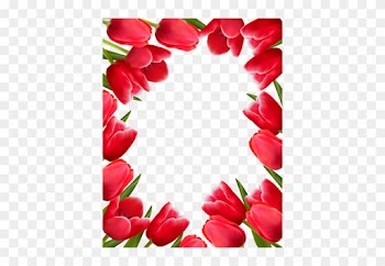 Craft - Tulips Flower Border Design