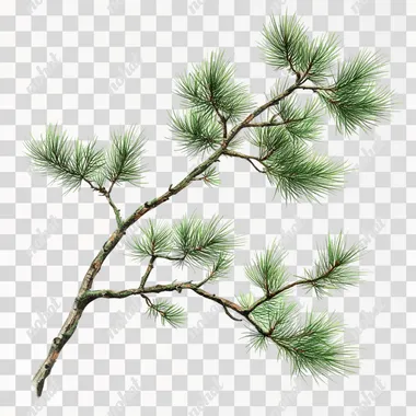 Crafting a Beautiful White Pine Branch with Elegant Posture Crafting a Beautiful White Pine Branch with Elegant Posture