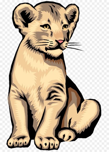 Craighead Elementary School Middle school National Primary School Lomira - school 