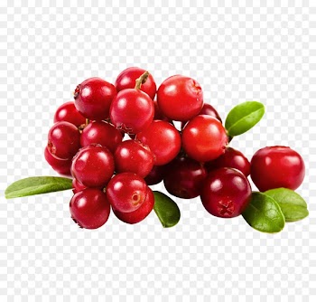 Cranberry juice Fruit - Cherry png picture material 