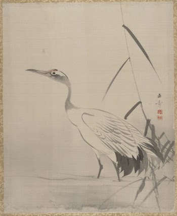 Crane Among Reeds | Free Photo - rawpixel