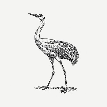 Crane bird collage element, vintage | Free PSD Illustration - rawpixel