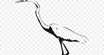 Crane Bird Green heron Great egret Great blue heron - crane 