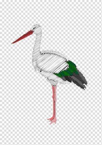 Crane Bird White stork, White Crane transparent background PNG clipart