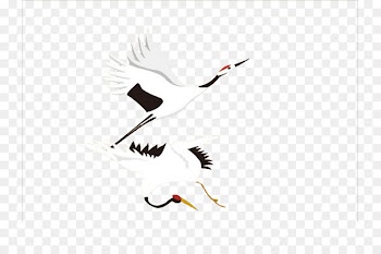 Crane Goose Bird Double Ninth Festival Traditional Chinese holidays - Playful crane 
