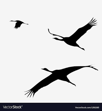  					Crane pack vector image														