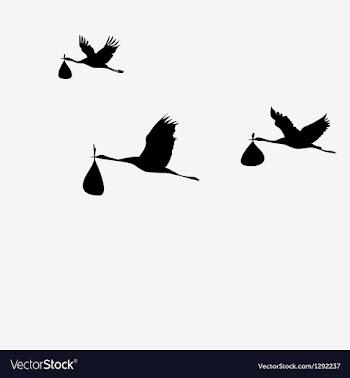 					Crane pack with bags vector image														