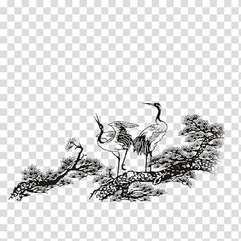 Crane Poster Illustration, white crane transparent background PNG clipart
