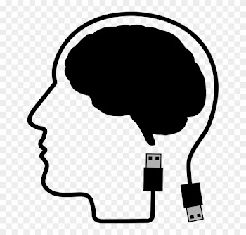 Cranium, Head, Human, Male, Man, People - Brain Shilloutte