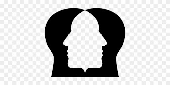 Cranium, Head, Human, Male, Man, People - Head