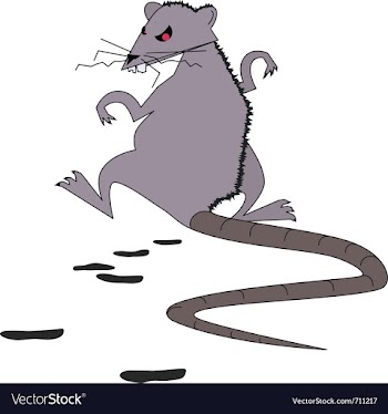 Crappy rat vector image