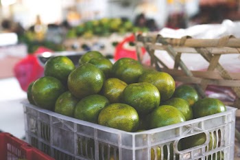 Crate of Round Green Fruits