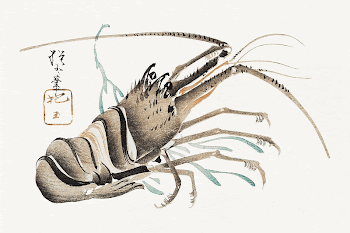 Crayfish (1830) by Yamada Hogyoku. | Free Photo Illustration - rawpixel