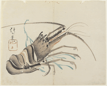 Crayfish (1830s) print in high | Free Photo - rawpixel