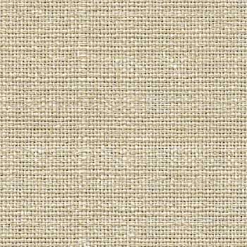 Cream Colored Woven Linen Fabric Pattern