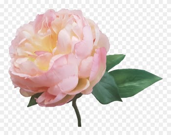 Cream Pink Peony Artificial Flowers S5841crmpnk - Wedding