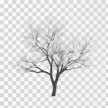 Create a 3D model tree on a white background. It will look l