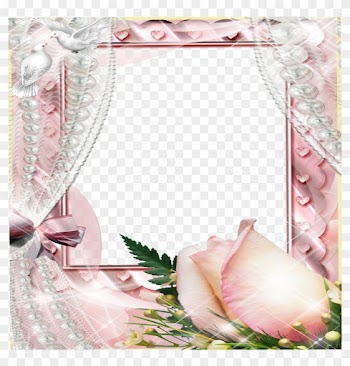 Create Photo Frames Online Beautiful Flowers Source - Pink Roses And Pearls Background