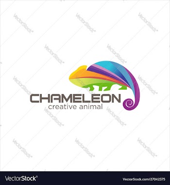 Creative abstract colorful chameleon logo icon vector image