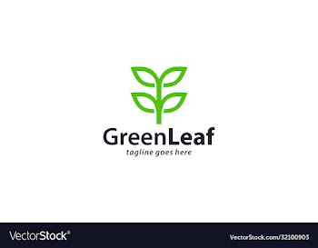 creative and modern green leaf for natural
