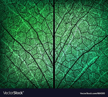 Creative background vector image